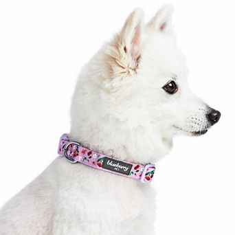 Blueberry Pet Dog Cherry Garden Floral Collar