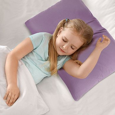 2 Pcs Zippered Soft Microfiber Pillow Cases Travel(14"x20")