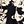 Black Egret Lilies
