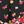 Black Floral Border