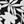 Black Havana Floral