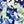 Navy Multi Floral