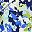 Navy Multi Floral