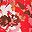 Red Multi Floral