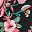 Black Paisley Floral