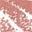 Blush Matte