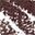 Brown Shimmer