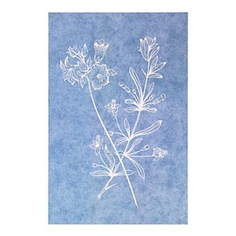 American Art Décor Wildflowers I Box Top Wall Art Print