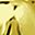 Gold Tone