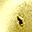 Gold Tone