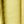 Gold Tone