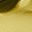 Gold Tone