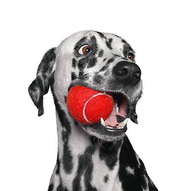 12 Pack Red Tennis Balls for Dogs, Soft 2.5 Inch Fetch Toys with Mesh Bag