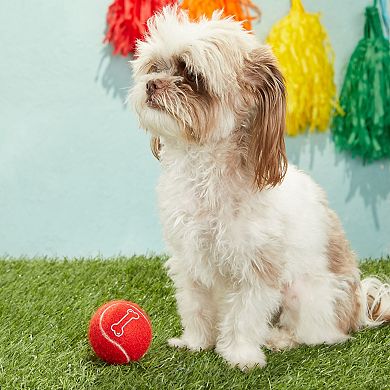 12 Pack Red Tennis Balls for Dogs, Soft 2.5 Inch Fetch Toys with Mesh Bag