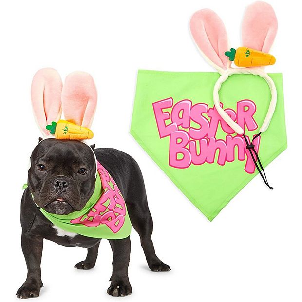 Easter Bunny With Pets Name Bandana