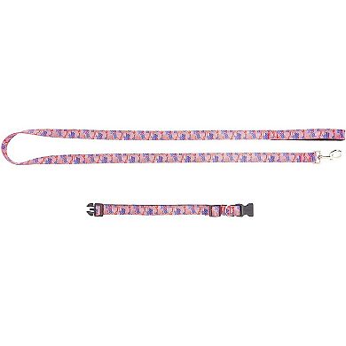 American Flag Collar and Leash for Medium and Large Dogs (2 Piece Set)