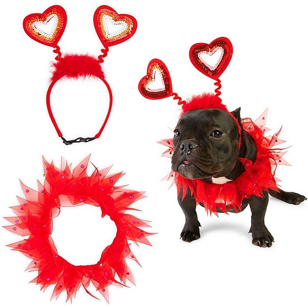 Dog headband outlet