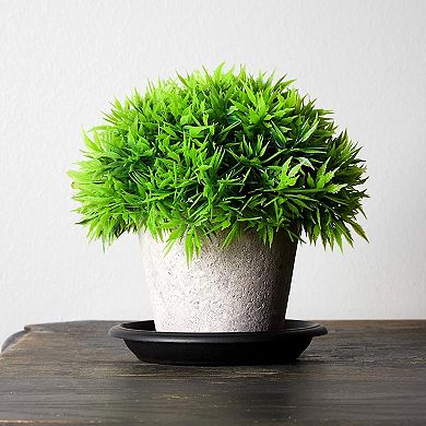 24 Pck Small Plastic Plant Saucers for Pots, 4 Inch Drip Tray for Planter, Black