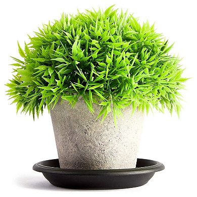 24 Pck Small Plastic Plant Saucers for Pots, 4 Inch Drip Tray for Planter, Black