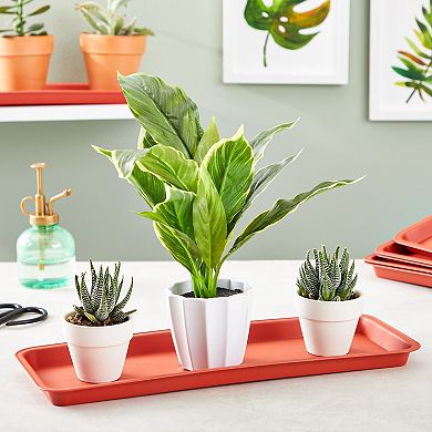 8 Pack Plastic Plant Rectangular Tray for Pot Saucers, Terracotta Color
