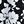 Black Blossom Floral