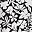 Black Havana Floral