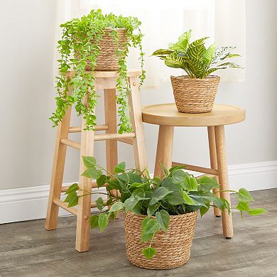 Seagrass Planter Set with Plastic Lining, 3 Woven Baskets for Plants (3 Sizes)