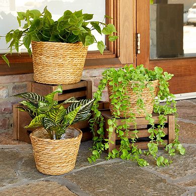 Seagrass Planter Set with Plastic Lining, 3 Woven Baskets for Plants (3 Sizes)