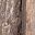 Weathered Gray