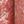 Rustic Red
