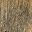Weathered Gray