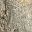 Weathered Gray