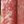 Rustic Red