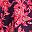 Berry Jacobean
