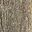 Weathered Gray