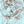 Robins Egg Blue