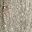 Weathered Gray