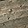 Weathered Gray