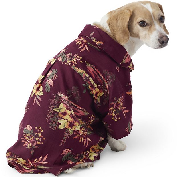 Kohls store dog coats