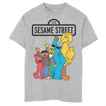 Boys 8-20 Sesame Street Friends Wave Graphic Tee