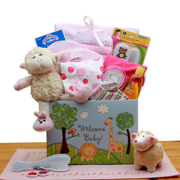 Baby Girl Gift Basket