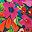Floral Multi