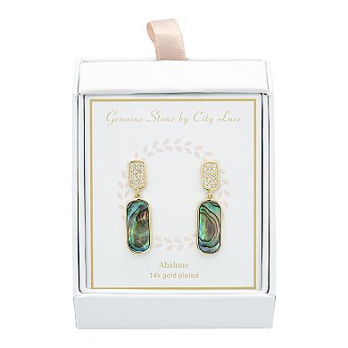 City Luxe Gold Tone Genuine Abalone & Cubic Zirconia Drop Earrings