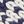 Navywhite