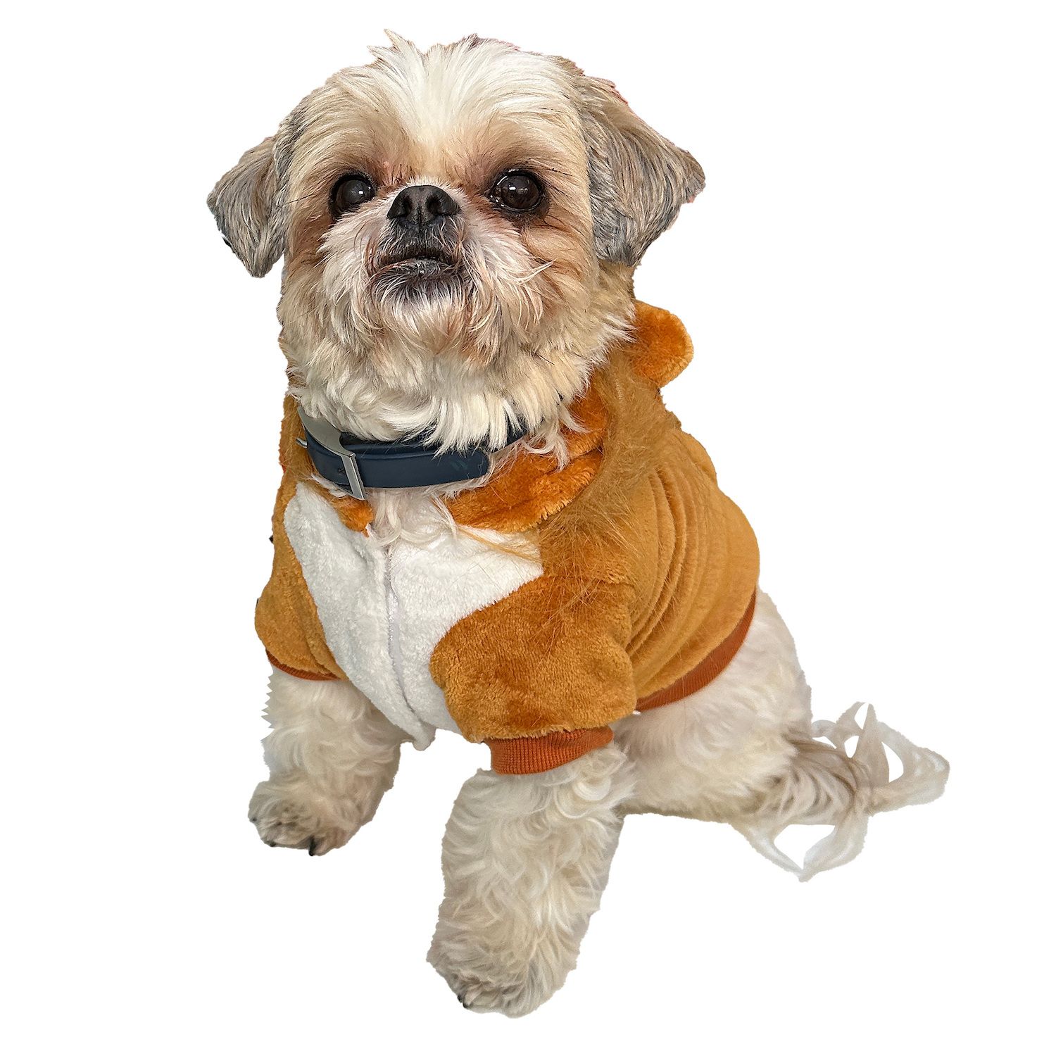 Pets First NFL San Francisco 49ers Cheerleader Outfit, 3 Sizes Pet Dress  Available. Licensed Dog Outfit 