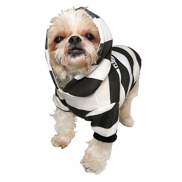 Shih Tzu Dog Clothing & Shoes L for sale