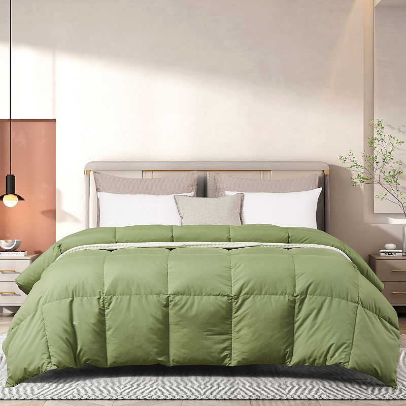 Beautyrest Microfiber Colored Feather & Down All Season Comforter, Green, F