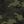 Night Camo