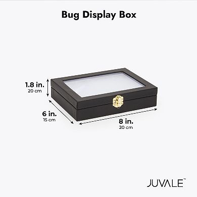 Insect Display Case with Glass Top, Riker Mount for Collecting Butterflies and Bugs (8 x 1.8 x 6 In)