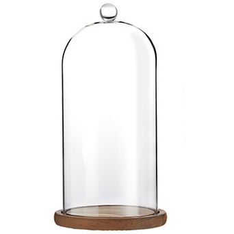 11 Inch Cloche Glass Dome with Base for Plants, Food, and Candles (5.1 x 5.1 x 10 in